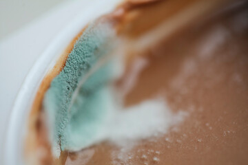 Close up of moldy mold on  cup of yogurt - obrazy, fototapety, plakaty