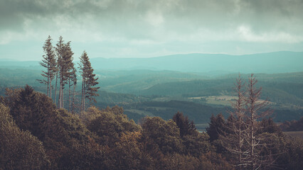 Sauerland Landschaft Panorama mit Bergen, Wald und Bäume Anfang Herbst Sommer mystisch