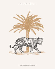 African tiger and palm tree in engraving style. Big wild cat hand drawn on a light background. Predatory wild animal of the savannah in vintage style. Vector retro illustration.