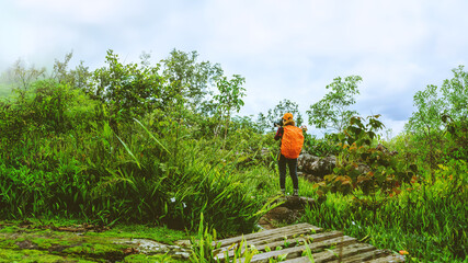 Woman asian travel nature. Travel relax. Walk study the path Nature in the forest