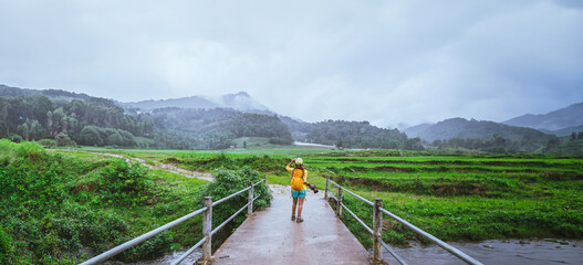 Asian women travel nature. Walking a photo the rice field and stop take a break relax on the bridge...