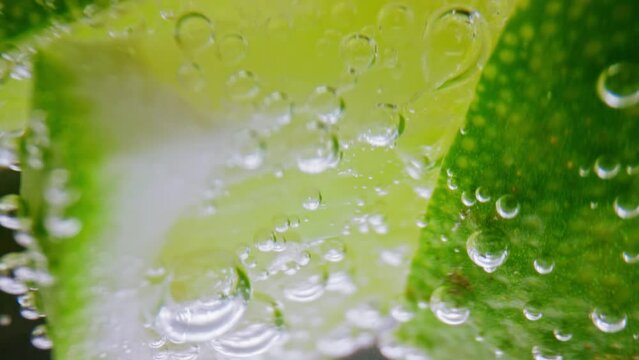 Bubbly Drink and Lime Slices in Glass Cup Close Up. Making Sour Alcoholic Cocktail of Vodka or White Rum at Home on Studio Shot in Macro. Drinking Sparkling Water as Detox Fluid or Pure Mineral Aqua