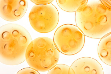 Microscopic view of yeast cells from fermented food isolated on a white background  - obrazy, fototapety, plakaty