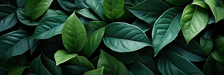 Seamless Background Of Twisted Leaves, Hd Background, Background For Website