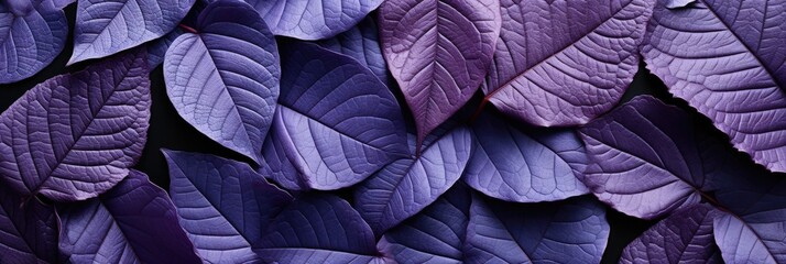 Seamless Background Of Violet Leaf, Hd Background, Background For Website