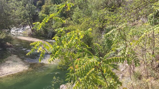 Corso d'acqua nel parco della gola della Rossa e di Frasassi nelle Marche