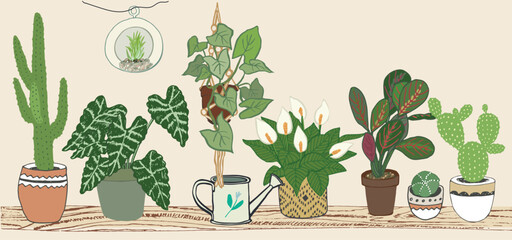 Home plants with pots vector illustrations set.