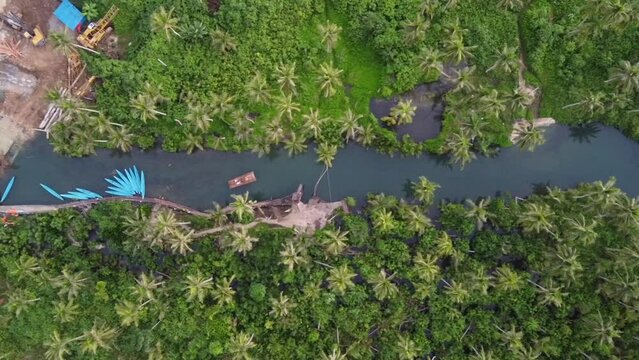 Bent Coconut palm tree rope swing at Maasin river on Siargao island, Philippines. Aerial