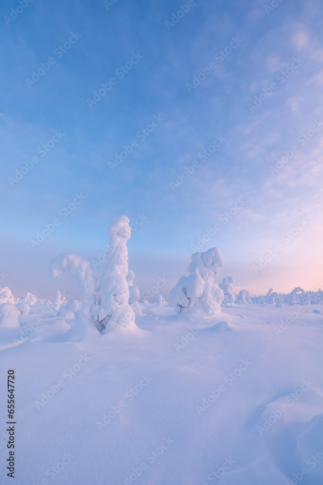 Wall mural winter landscape with snow