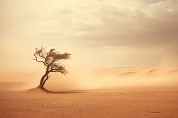 Foto op Aluminium A single tree in the expansive Sahara desert, enduring a fierce sandstorm. Generative AI © Thea