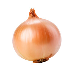 macro shot of onion isolated on white background