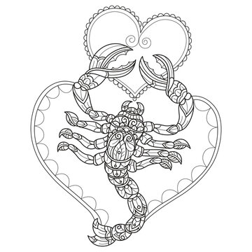 Scorpion and heart hand drawn for adult coloring book