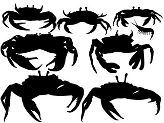 silhouette of crab and shrimp