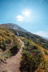 Hiking trail through Carpathian mountains of Ukraine. Summer nature scenery with beautiful views and of mounting peak Hoverla. High quality photo
