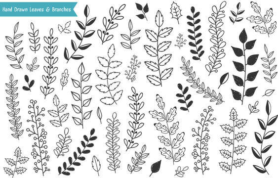 Collection of hand drawn leaves and branches