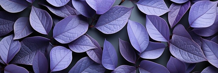 Lavender leave , Hd Background, Background For Computers Wallpaper