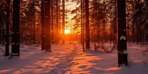 Abwaschbare Fototapete Beautiful winter snowy natural landscape at sunset © Zaleman