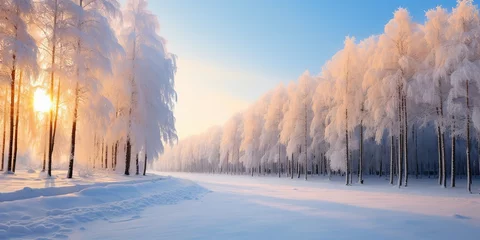 Keuken foto achterwand Zalmroze A picturesque winter wonderland