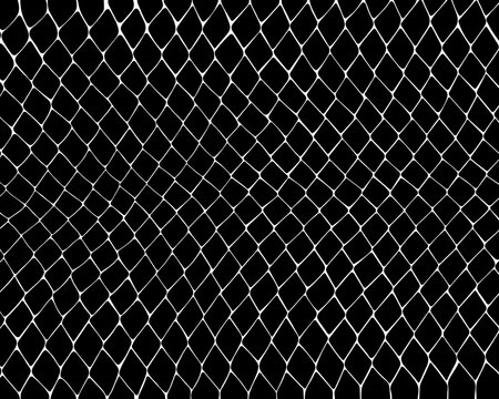 Vector black snake print pattern animal seamless. Snake skin abstract for printing, cutting, and crafts Ideal for mugs, stickers, stencils, web, cover. wall stickers, home decorate and more.