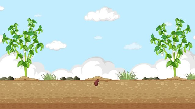 Animation of pea plant growing and reproducing using energy from the sun and other sources.