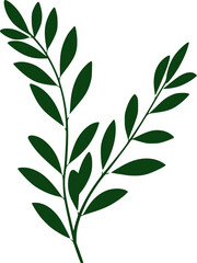 Fototapeta premium green leaves