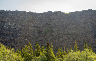 The Asbyrgi Canyon in north Iceland