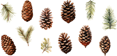 Set watercolor Christmas pine cones on white background. - obrazy, fototapety, plakaty