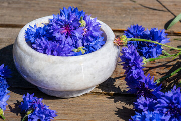 Obraz na płótnie Canvas A blue cornflower petal in a vase for medical and cosmetic products. Grind the cornflower flowers in a mortar. A bunch of cornflowers collected in a bowl. Freshly cut cornflowers. Selective focus.