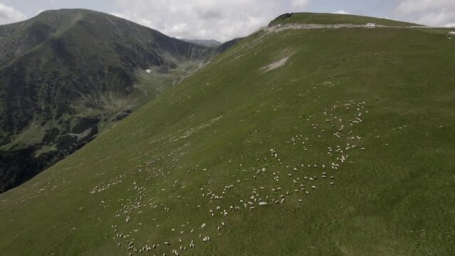 Transalpina mountain road.