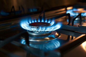 modern gas stove in flame