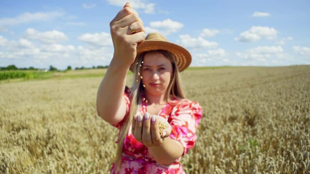 The concept of agriculture and growing grains on farm fields. A beautiful woman pours wheat grains from hand to hand on the background of a landscape of wheat fields. High quality 4k footage