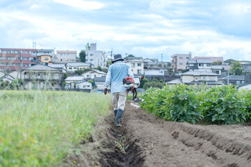 草刈りを運ぶ日本人男性