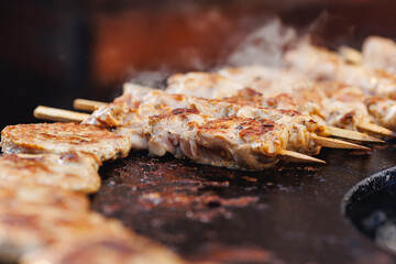 Cook grills chicken kebab steaks open fire. Concept Summer Street food festival