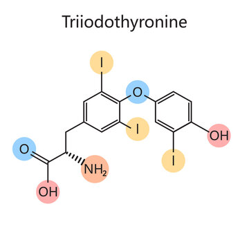 Chemical organic formula of triiodothyronine T3 thyroid hormone diagram schematic raster illustration. Medical science educational illustration