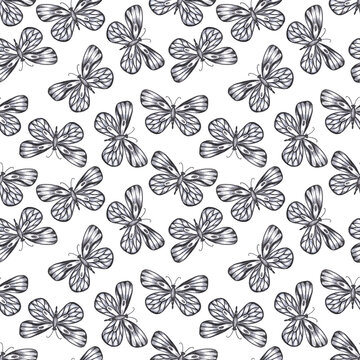 Hand drawn black pencil butterfly seamless pattern isolated on white background. Can be used for textile, fabric, ornament and other printed products.