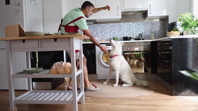 wide shot happy adult man in his kitchen playing with his dog and feeding it while holding its paw