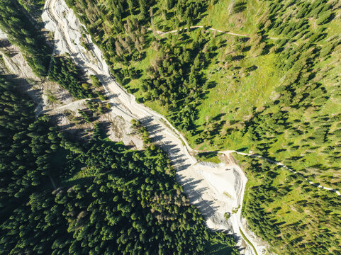 Aerial view of a forest with trees at Croda dei Baranci (Birkenkofel) mountain peak on the Dolomites range, San Candido (Innichen), Trentino, South Tyrol, Italy.