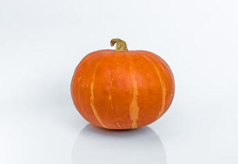 Pumpkin on white background isolated with reflection