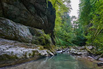 Mountain river with rapids and clear waters