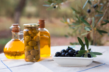 Still life of olives and oil on a table against a background of olive trees