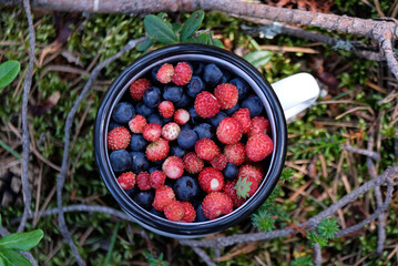 mug with fresh ripe blueberries and wild strawberries