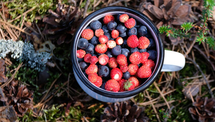 mug with fresh ripe blueberries and wild strawberries
