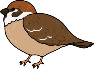 Simple and adorable outlined Sparrow illustration