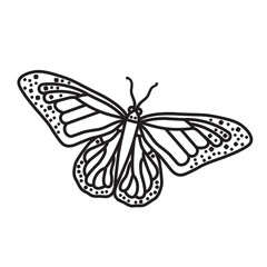 Butterfly vector line icon for Western Monarch Day on February 5