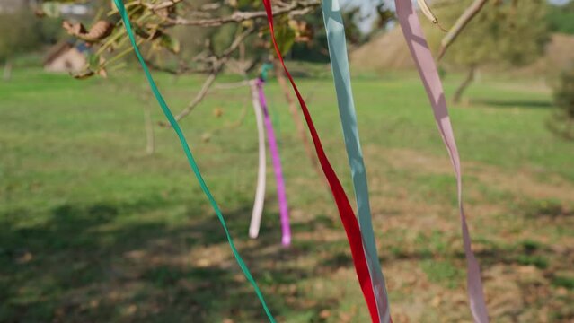 Colorful ribbons on spring tree in garden fluttering in the wind. Close-up traditional decor, Symbol of Beltane, Wiccan Celtic Holiday beginning of summer. Magic witchcraft, folk traditions, rituals