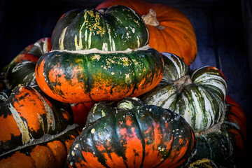 Kürbis, Speisekürbis, Turbankürbis, Cucurbita maxima, Herbst, Herbstfest, Herbstgemüse,...