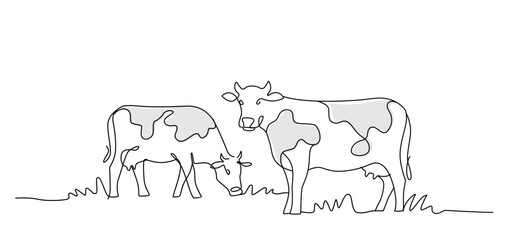 cows sketch line. Mammal animals