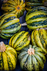 Kürbis, Mogango Sul Mineiro, Cucurbita Pepo, Speisekürbis, Kürbisernte, Kürbisfest, Herbst, Herbstmarkt, Schweiz