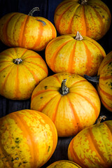 Kürbis, Blaze, Cucurbita Pepo, Speisekürbis, Kürbisernte, Kürbismarkt, Kürbisfest, Herbst, Schweiz