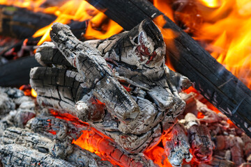 Burning firewood and coals of a fire close up